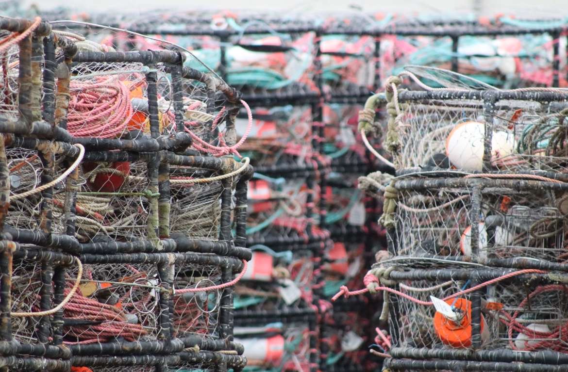 Beyond the shoreline: Exploring the challenges of commercial crabbing